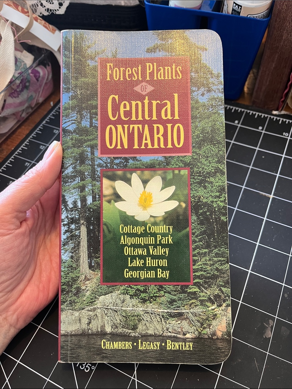 Field Guide to the Forest Plants of Central Ontario